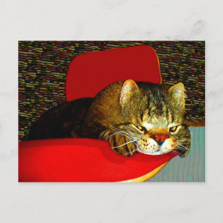 CATaTUDEs Briefkaart