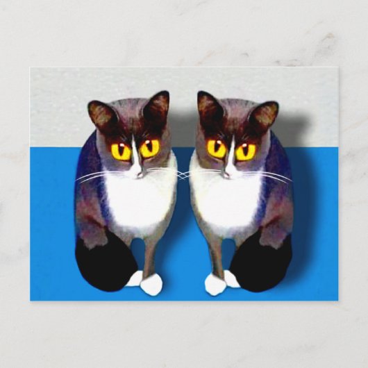 CATaTUDEs Briefkaart (Voorkant)