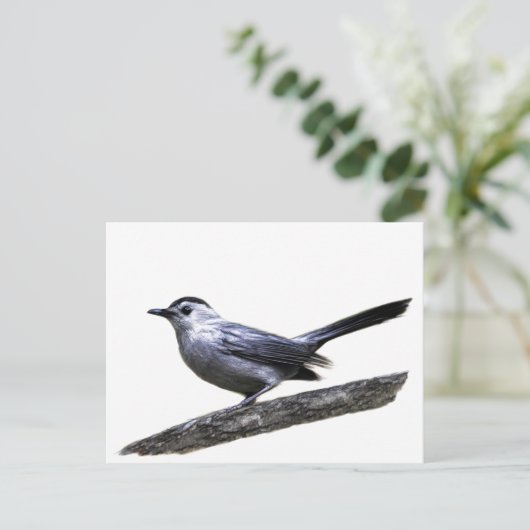Catbird Briefkaart (Staand voorkant)