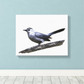 Catbird Canvas Afdruk (Insitu (Houten vloer))