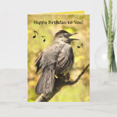 Catbird chante joyeuse carte d'anniversaire (Devant)
