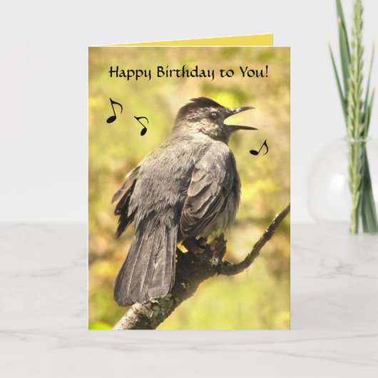 Catbird chante joyeuse carte d'anniversaire (Devant)