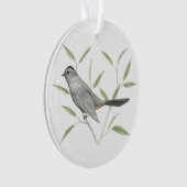 Catbird gris (devant)