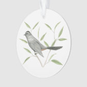 Catbird gris (devant)