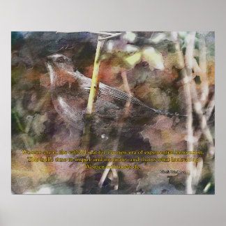 Catbird met citaat van Vivek Wadwha Poster