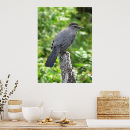 Catbird Poster (Keuken)