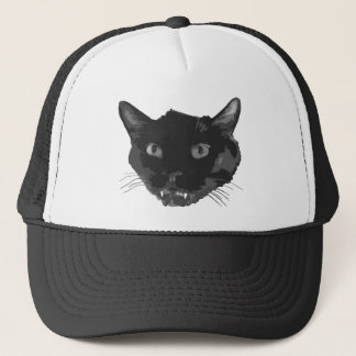 Catbus pet
