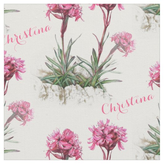 Catchfly alpine art botanique rose nommé tissu (Fermer)