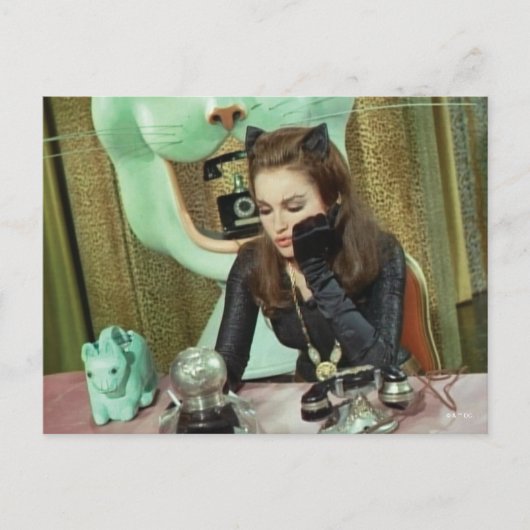 Cateman Briefkaart (Voorkant)