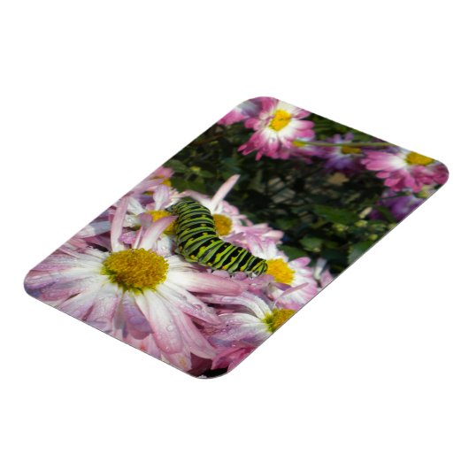 Caterdepijlerrolmagneet Magneet (Linkerzijde)