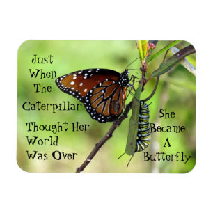 Caterpillar / Butterfly Quote Magnet Magneet