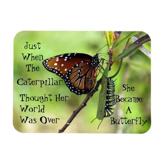 Caterpillar / Butterfly Quote Magnet Magneet (Horizontaal)