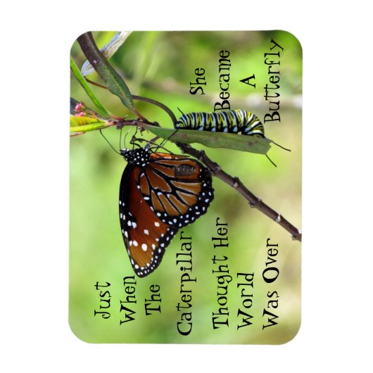 Caterpillar / Butterfly Quote Magnet Magneet (Verticaal)