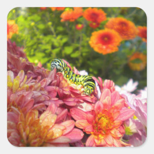 Caterpillar die Stickers zonnen