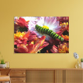 Caterpillar op Mums verpakt Canvas Afdruk (Insitu (Woonkamer))