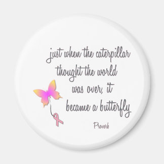 Caterpillar werd een vlinder magneet