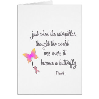 Caterstyle wordt een vlinder