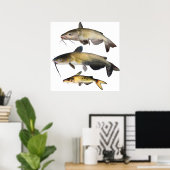 Catfish Family Poster (Thuiskantoor)