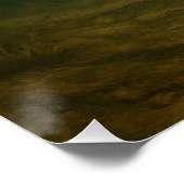 Catfish Poster Perfect Poster (Hoek)