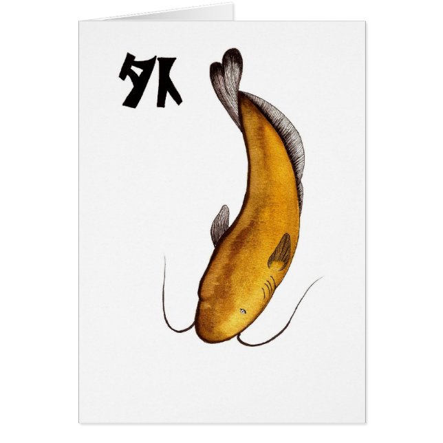 Catfish Void (Voorkant)