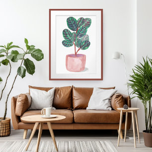 Cathathea Potted Prayer Plant Waterverf Art Poster