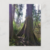 Cathedraal, Astoria, Oregon Briefkaart (Voorkant)