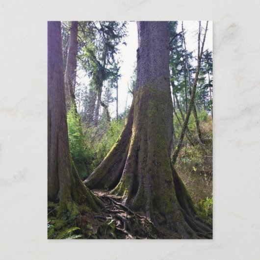 Cathedraal, Astoria, Oregon Briefkaart (Voorkant)