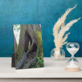 Cathedraal, Astoria, Oregon Fotoplaat (Zijkant)