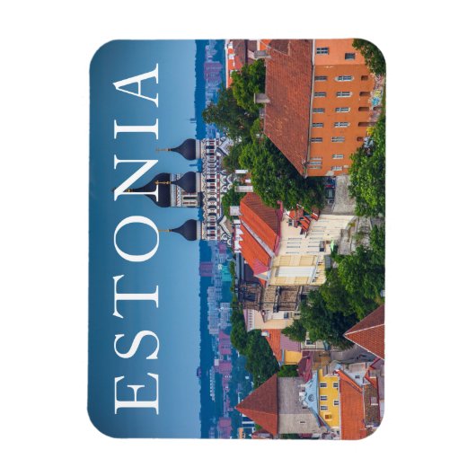 Cathedraal en Cityscape | Estland Magneet (Verticaal)