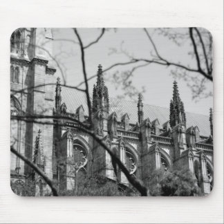 Cathedraal in de lente muismat