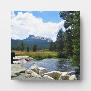 Cathedraal Peak in Tuolumne Meadows, Yosemite, CA Fotoplaat