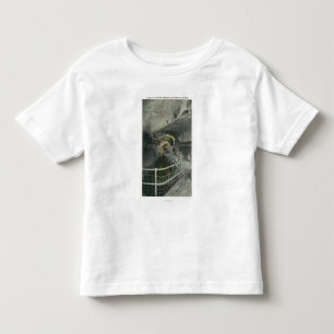 Cathedraal Uitzicht van de pool Siloam Kinder Shirts