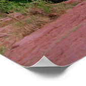 Cathedral Rock Sedona Poster (Hoek)