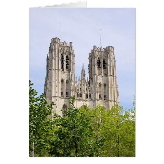 Cathédrale St Michel & Gudule, Brussel, België (Voorkant)