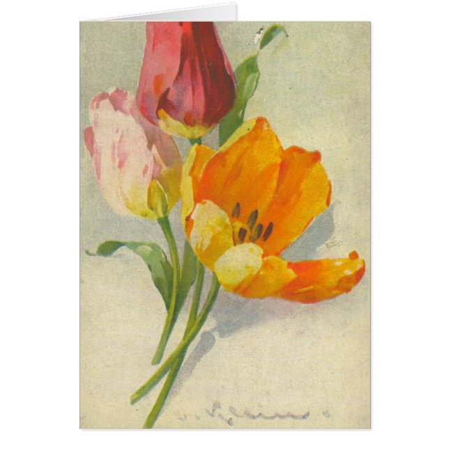 Catherine Klein  Briefkaart Reproduction (Voorkant)