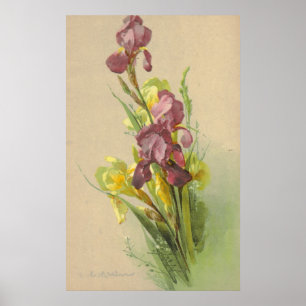 Catherine Klein Litho Reproduction Canvas Poster