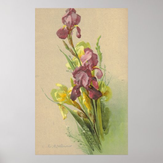 Catherine Klein  Litho Reproduction Canvas Poster (Voorkant)