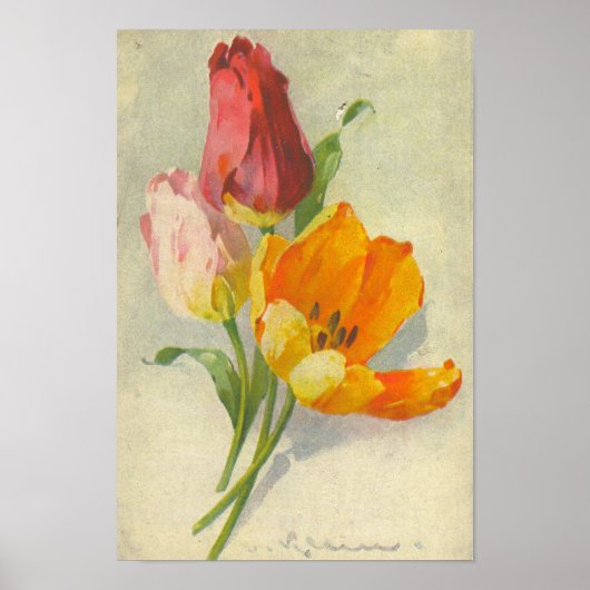 Catherine Klein Reproduction Poster (Voorkant)