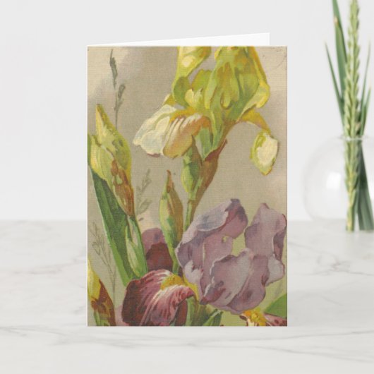 Catherine Klein Reproduction Vintage de la carte d (Devant)