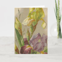 Catherine Klein Reproduction Vintage de la carte d