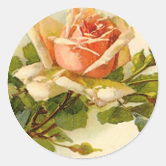 Catherine Klein's  Peach Roos Ronde Sticker (Voorkant)