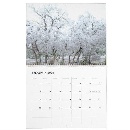 Cathy P. Jones Calendrier des photographies (Feb 2026)