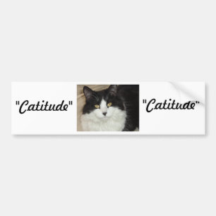 Catitude Cat met een houding Bumpersticker