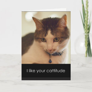 Catitude-Valentijnsdag Feestdagen Kaart