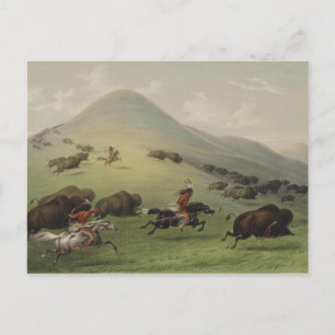 Catlin Native American Art Briefkaart