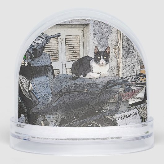 CatMobile/cat on motorcycle seat (Avant)