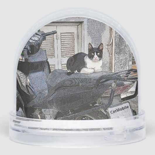 CatMobile/cat on motorcycle seat (Arrière)
