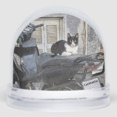 CatMobile/cat on motorcycle seat Sneeuwbol (Voorkant)