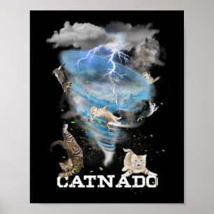 Catnado Funny Beste Graphic Schattigee Kattenliefh Poster