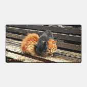 Catnap Cuties Bureaumat (Voorkant)